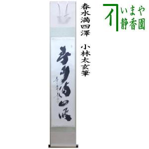茶道具 掛軸 掛け軸 一行 白鳥入蘆花 橘宗義筆 茶道 : 茶道具いまや
