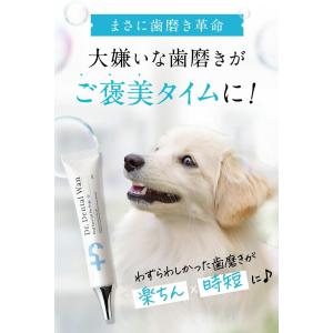 ドクターデンタルワン 30g ビーフ味 犬 歯磨き ジェル 口 ペット わん