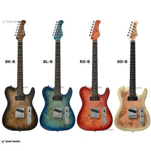 Bacchus（バッカス） Bacchus Universe Series BTE-TW NS / バッカス