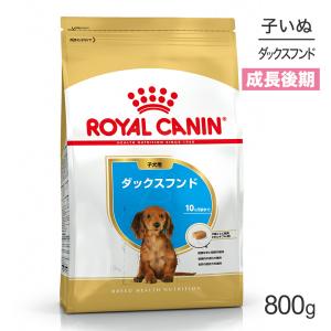 ACANA（アカナ） アカナドッグ シニアレシピ 11.4kg (犬・ドッグ)[正規