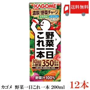 野菜一日これ一本 カゴメ 野菜一日 これ一本 200ml 紙パック ×12本