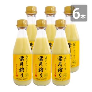 青切り シークヮーサー100（500ml）【6本セット】シークワーサー 100