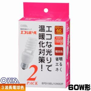岩崎電気 岩崎 MF100LSH/BUP メタルハライドランプ FECマルチ