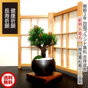 現代小鉢：平安虹泉 碗型丸鉢 12.1cm【現】*資材 : 遊恵盆栽 Yahoo