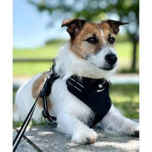 snow peak（スノーピーク） 犬 服 Snow Peak / Dog Winter Guard