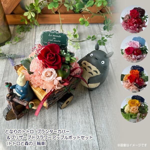 スタジオジブリ ジブリ グッズ プランターカバー＆プリザーブド