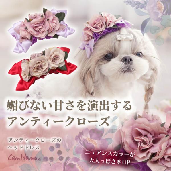 cannanaonline_04-hd020