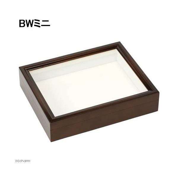 バードウィング製 ドイツ型標本箱 BWミニ （幅25×奥行き20×高さ