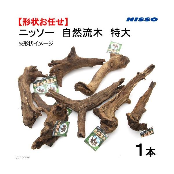 ニッソー 形状お任せ 自然流木 特大（約30〜50cm） 1本 お一