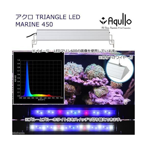 アクロ TRIANGLE LED MARINE 450 20000K