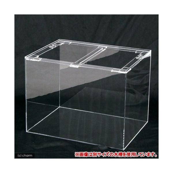 アクリル 水槽 120 60 45」の人気商品一覧 | 安い商品を通販サイトから