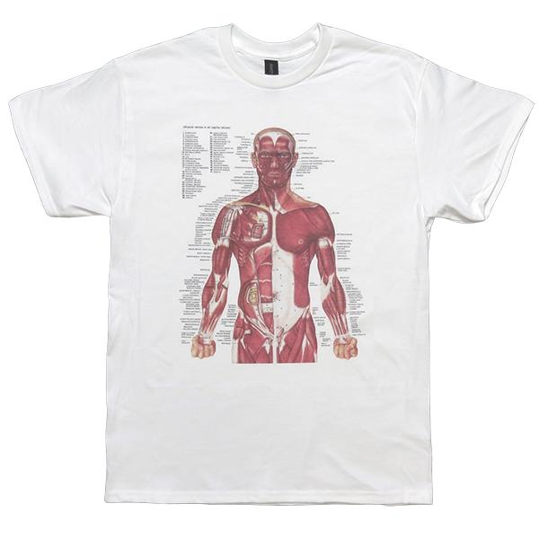 Sサイズ]Nirvana カート・コバーン着用 人体解剖図（筋肉系）90s