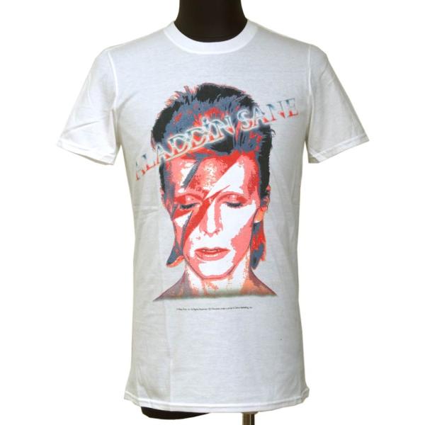 dragtrain_db-aladdin