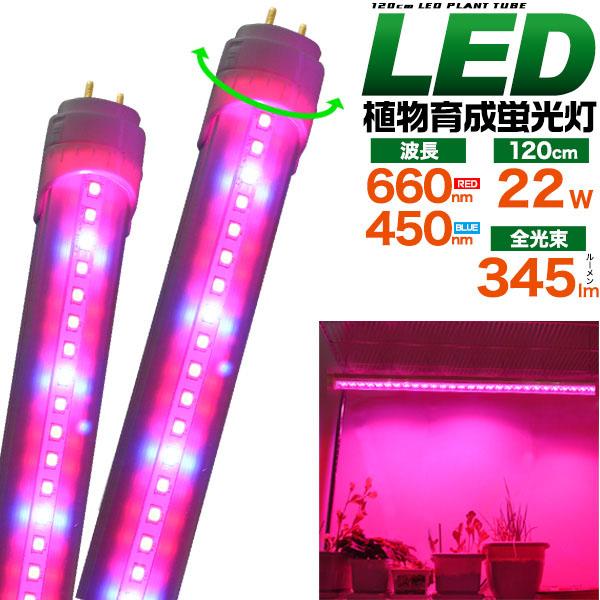 植物育成 LED蛍光灯 120cm G13 22W 345lm アクアリウム led 植物育成