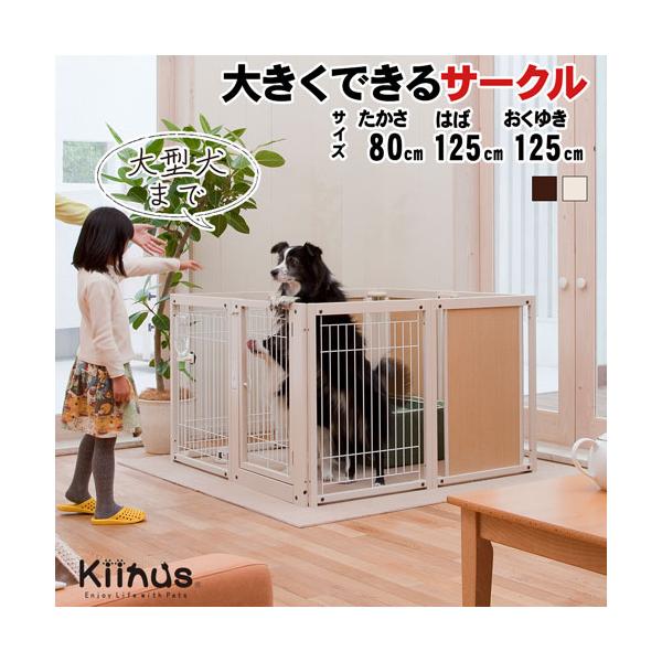 Kiinus（キーヌス） [ペットサークルF80XLメッシュB] 犬用 サークル