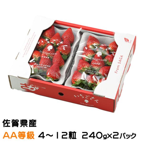 いちご ストロベリー いちご いちご☆ いちご 苺 Buy ZX 8000