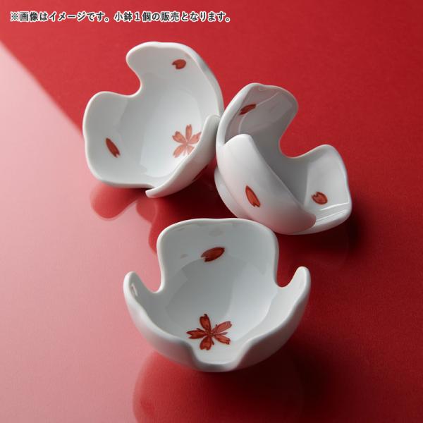 赤絵小鉢10客セット 赤絵小鉢10客セット 種類