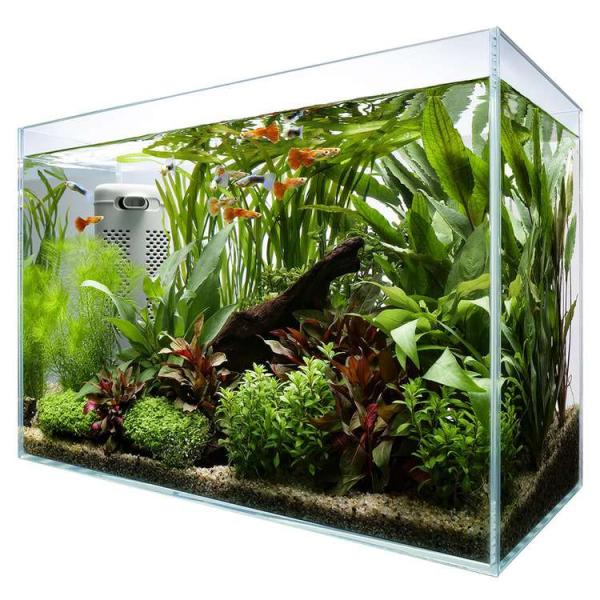 アクアリウム 水槽 セット 飼育 観賞魚テトラ サイレントフレックス