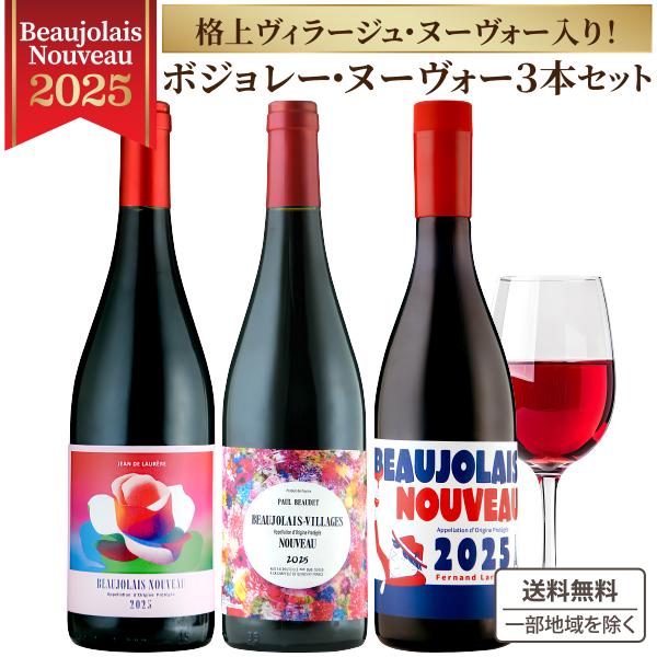ボジョレー ヌーボー 2025年11月20日解禁 厳選飲み比べ3本セット