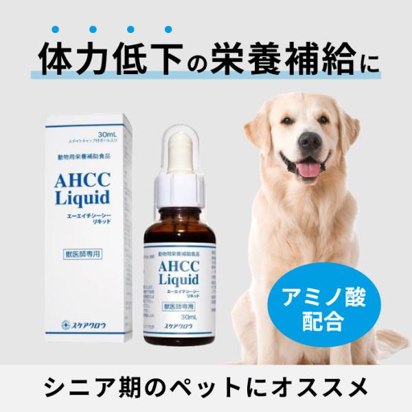 犬猫用 スケアクロウ AHCCリキッド 30ml (動物用健康補助食品) : 松波