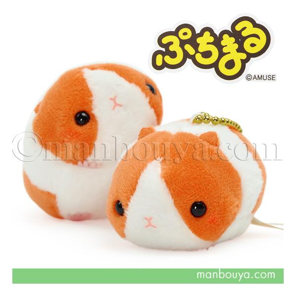 モルモット ぬいぐるみ ぷちまる 動物園 アミューズ AMUFUN アニマルズ