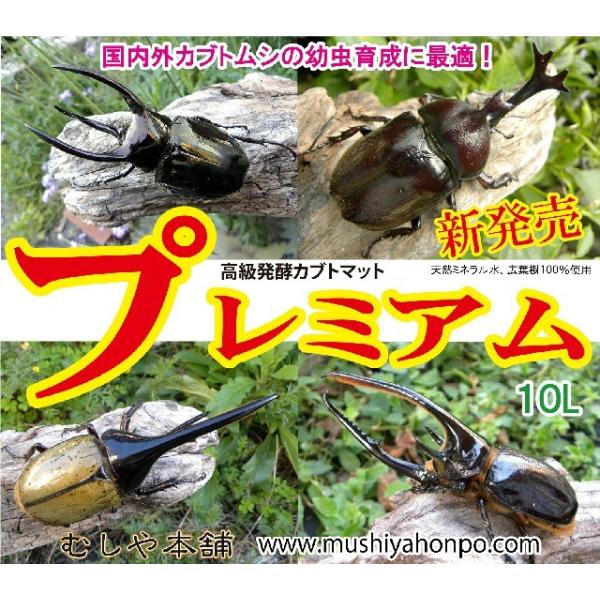 極上品！ヘラクレス181リミ羽化！プレミアム3次発酵カブトムシマット
