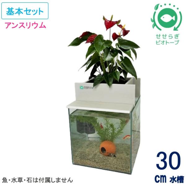 西条庭園 せせらぎビオトープ 45cmフチなし水槽用 本体のみ 45cmスリム