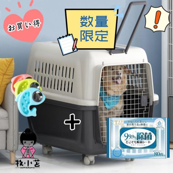 猫犬 ケージ クレート ペットパレス BB60N 移住 お出かけ 輸送 猫犬