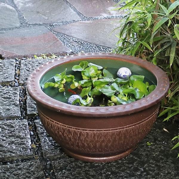 信楽焼 睡蓮鉢 メダカ鉢 おしゃれ めだか鉢 陶器 水鉢 ビオトープ