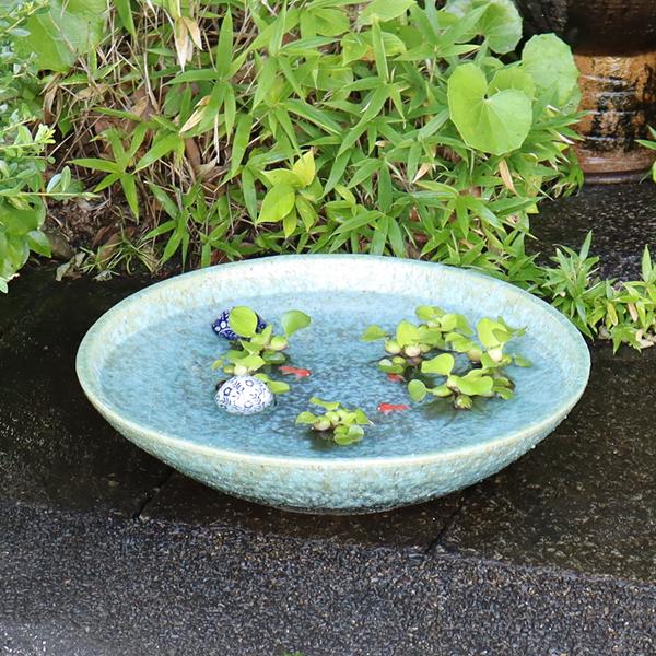 信楽焼 睡蓮鉢 メダカ鉢 おしゃれ めだか鉢 陶器 水鉢 ビオトープ