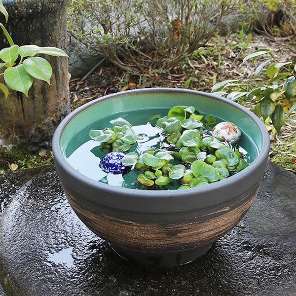 信楽焼 睡蓮鉢 メダカ鉢 おしゃれ めだか鉢 陶器 水鉢 ビオトープ