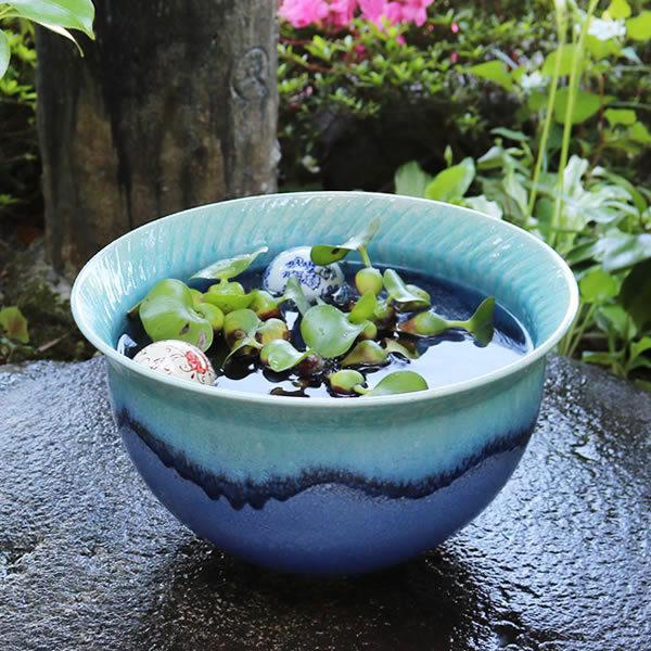 信楽焼 睡蓮鉢 メダカ鉢 おしゃれ めだか鉢 陶器 水鉢 ビオトープ