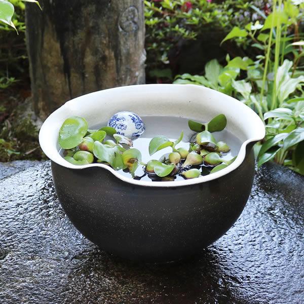 信楽焼 壷久郎作 メダカ鉢 睡蓮鉢 水鉢 直径32cm 信楽焼 メダカ鉢
