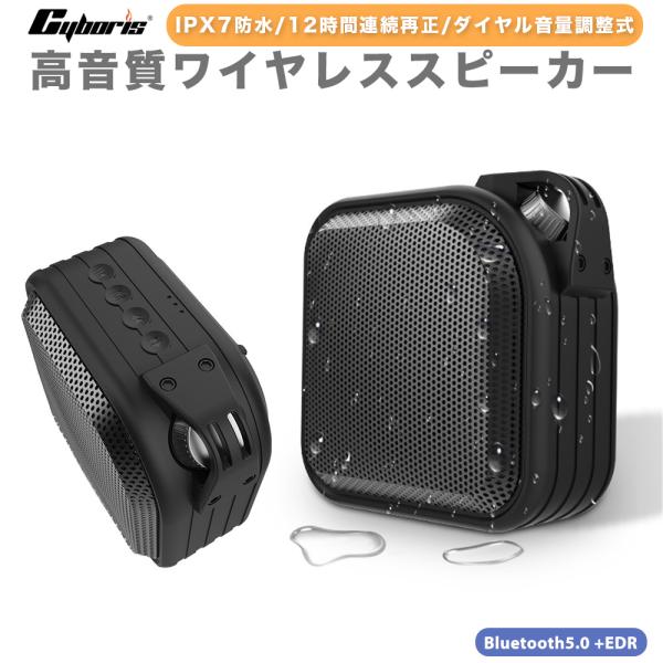 sunny-world_sgw-t0264