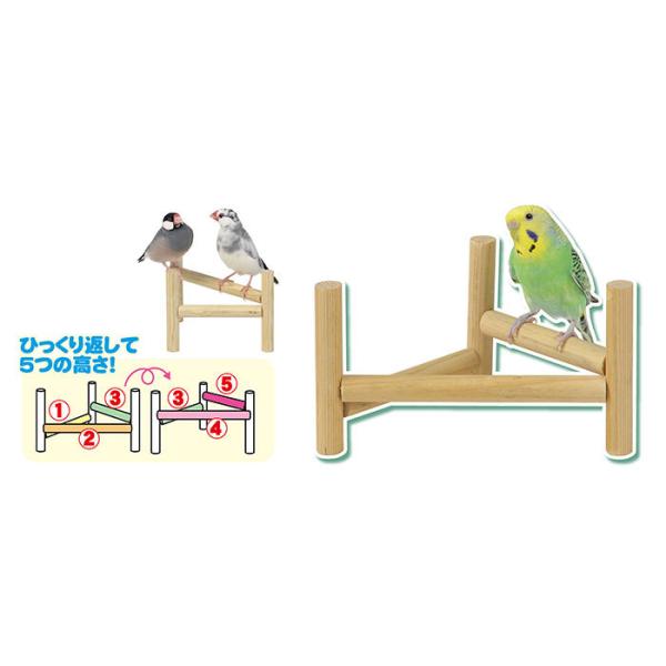 三晃商会 SANKO 小鳥のホップステップ パーチ アスレチック 小さな