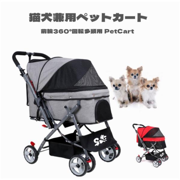 panni123_ddpcwyec001