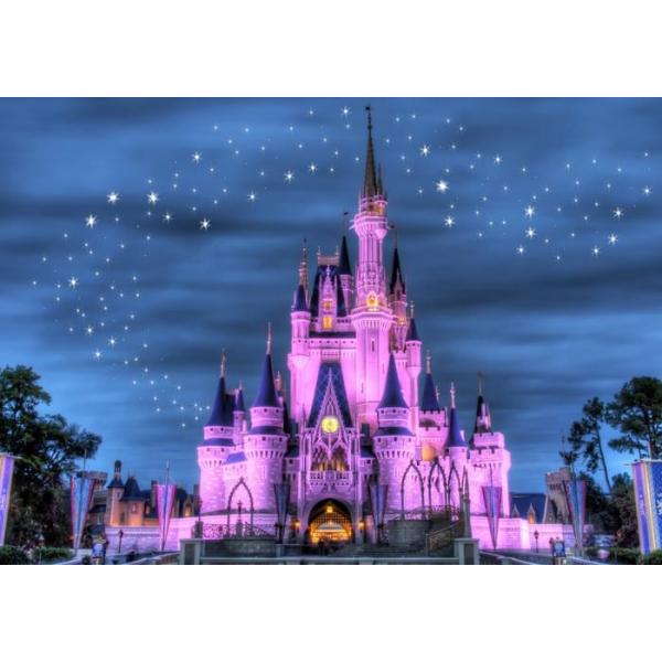 絵画風 壁紙ポスター (はがせるシール式) ディズニーワールド 夜景