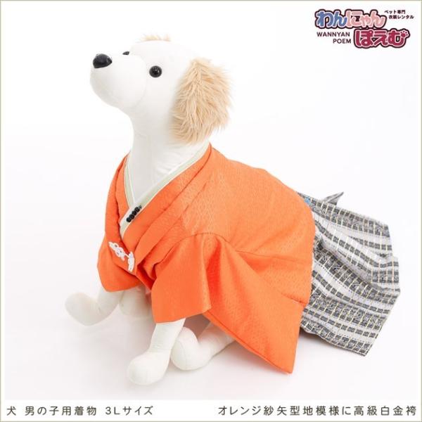 犬の着物レンタル 大型犬 男の子 d3l-011 ペット衣装 往復送料無料