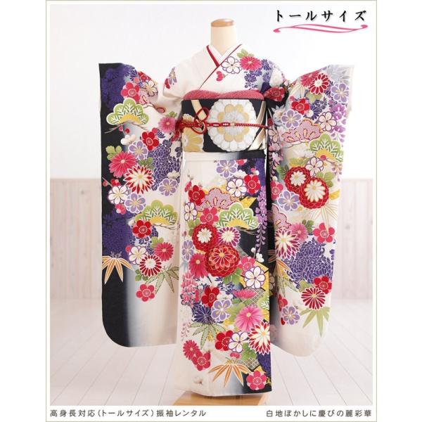 高身長トールサイズ 成人式 振袖レンタル1月 お正月 fb1373ts 振り袖