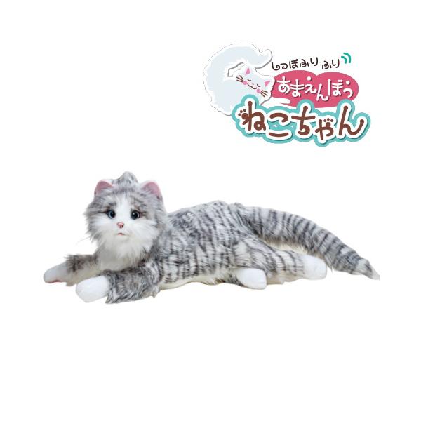 tokutokutokiwa_4560386967831