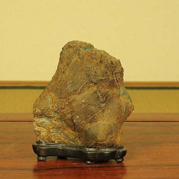 貴船糸掛石*（一品限り 現品物） : 遊恵盆栽 Yahoo!店 - 通販 - Yahoo