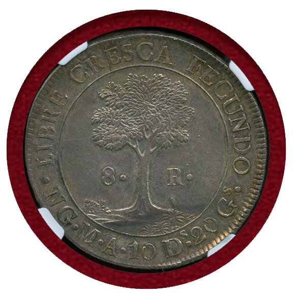 グアテマラ1900年 1レアル白銅硬貨 ペンダントトップ レアビンテージ