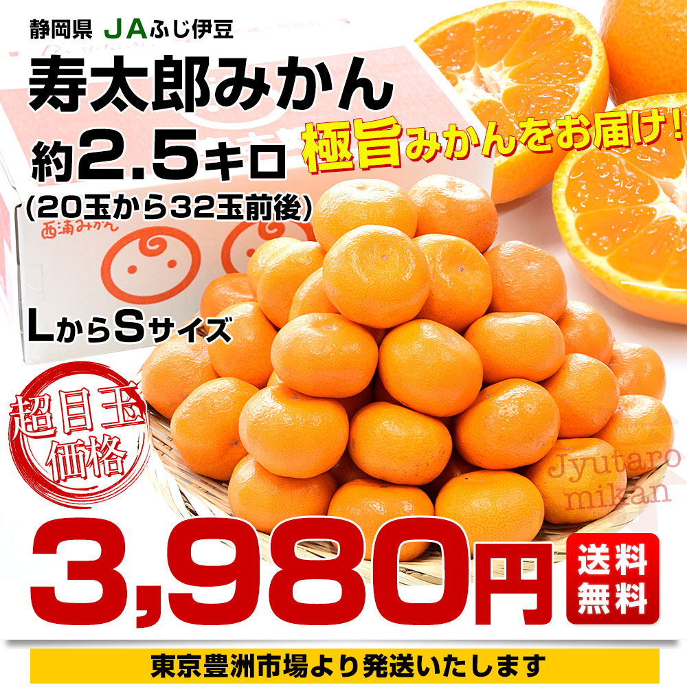 静岡県産 JAふじ伊豆 西浦柑橘出荷部会 寿太郎みかん 約2.5キロ LからS