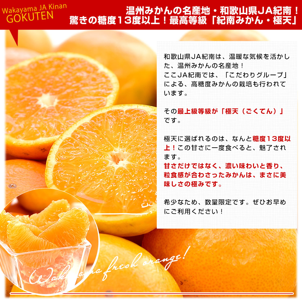 和歌山県 JA紀南 糖度13度以上 紀南みかん「極天」約5キロ LからS