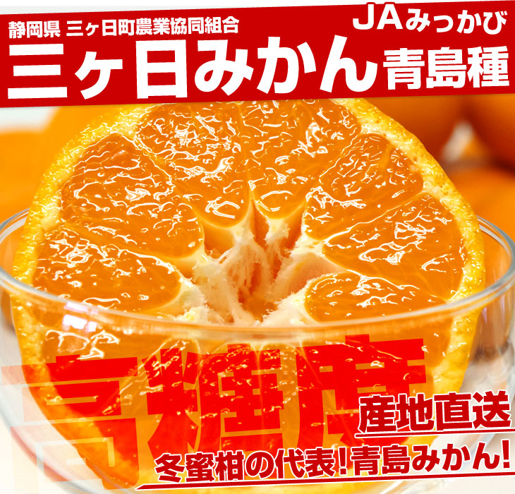 静岡県より産地直送 JAみっかび 三ケ日みかん (青島種) 2Lサイズ 3.5