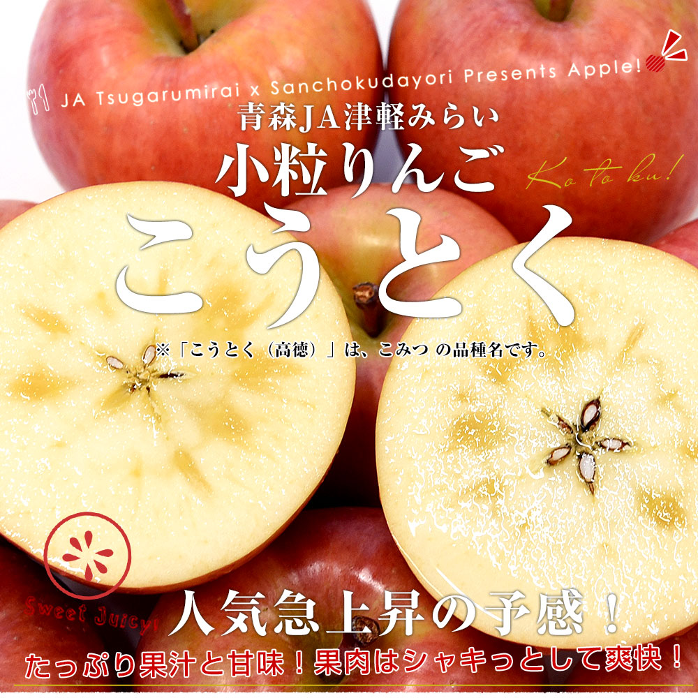 青森産 JA津軽みらい こうとく（高徳） 2.5キロ前後 （12玉から13玉