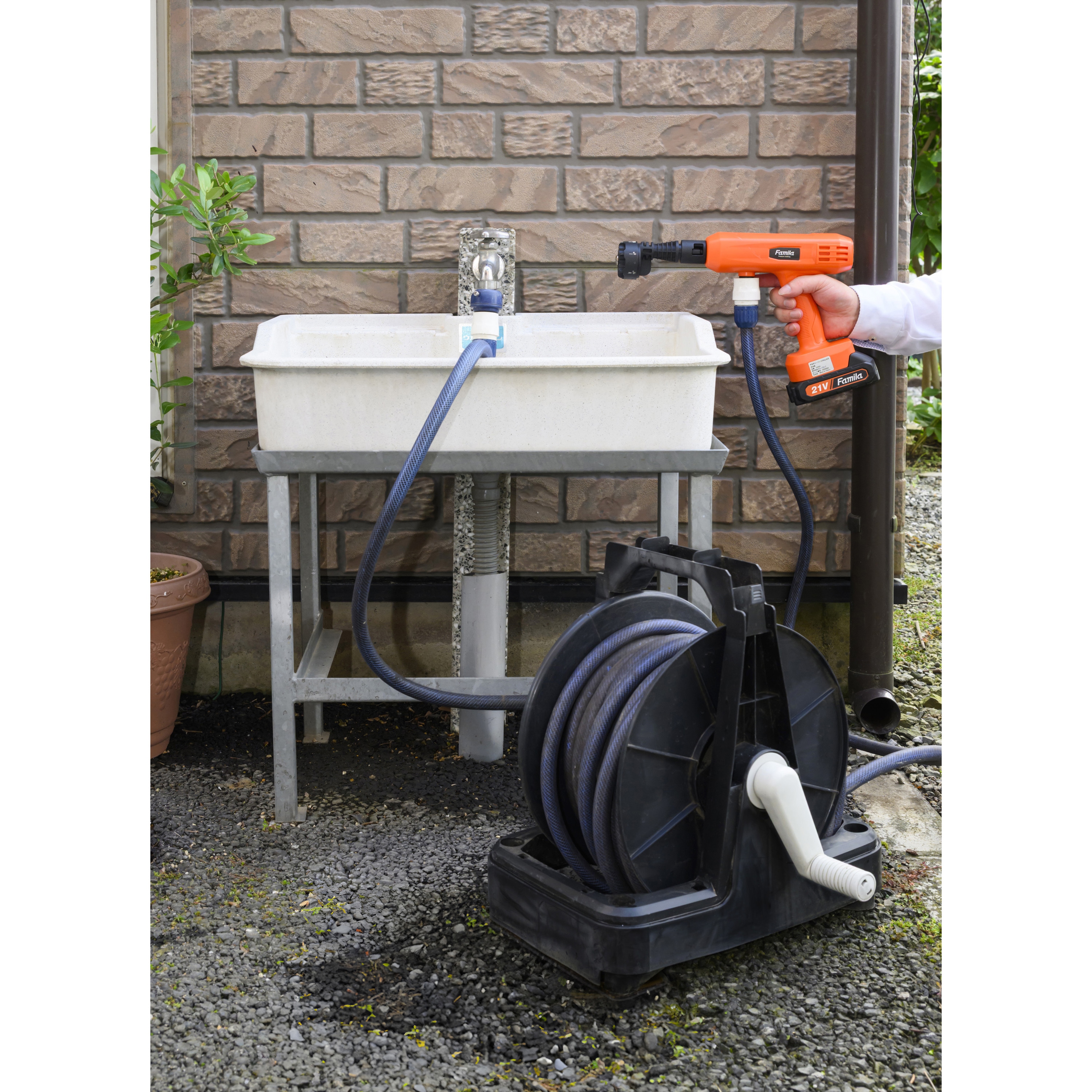 24時間以内発送　ファルミナ　ウズラ　 10kg 24時間以内発送 ファルミナ パンプキンウズラザクロ入り 成猫用 10kg