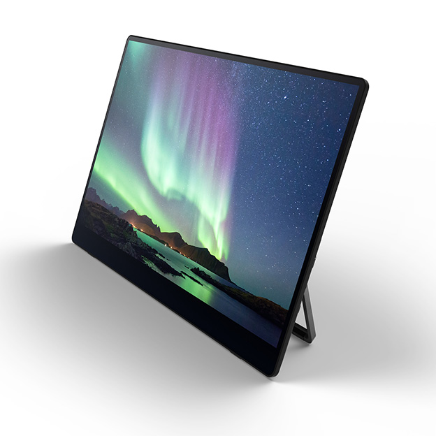 RICOH Portable Monitor/Light Monitor 150BW/150」「RICOH IM C6010