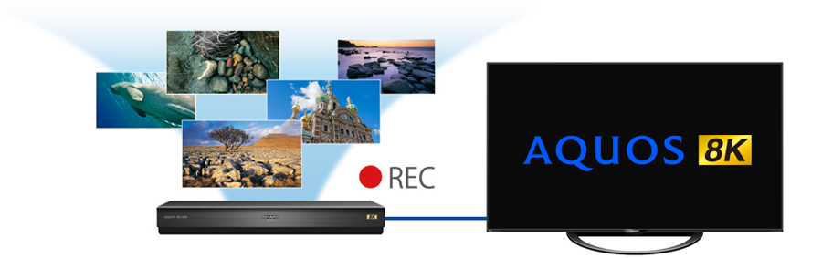 8K対応USBハードディスク 8K HDD 8R-C80A1｜薄型テレビ／液晶テレビ