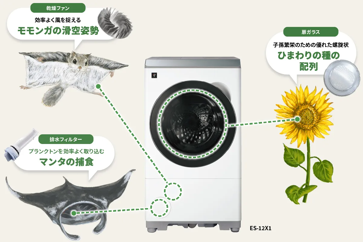 ネイチャーテクノロジー | 洗濯機：シャープ